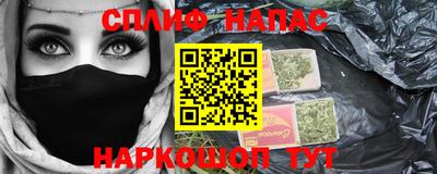 шишки Кинель