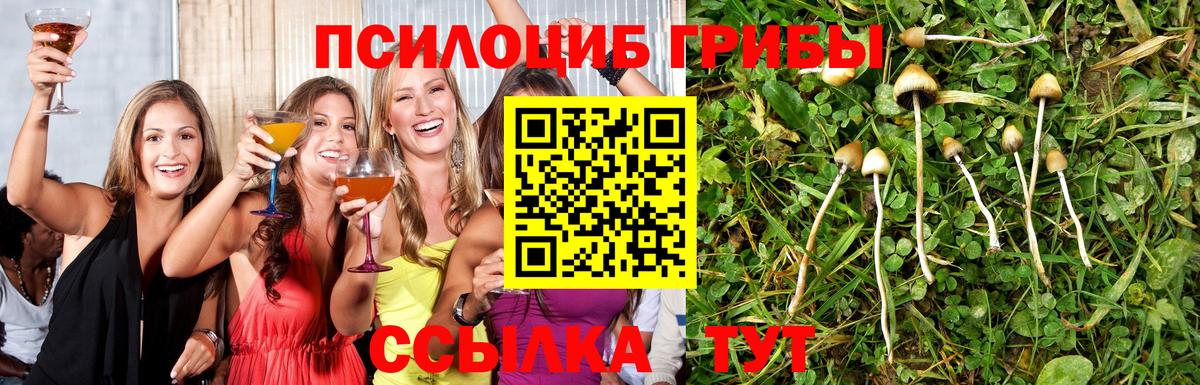 Красноармейск  Псилоцибиновые грибы мицелий  где купить наркоту  Вход с VPN 